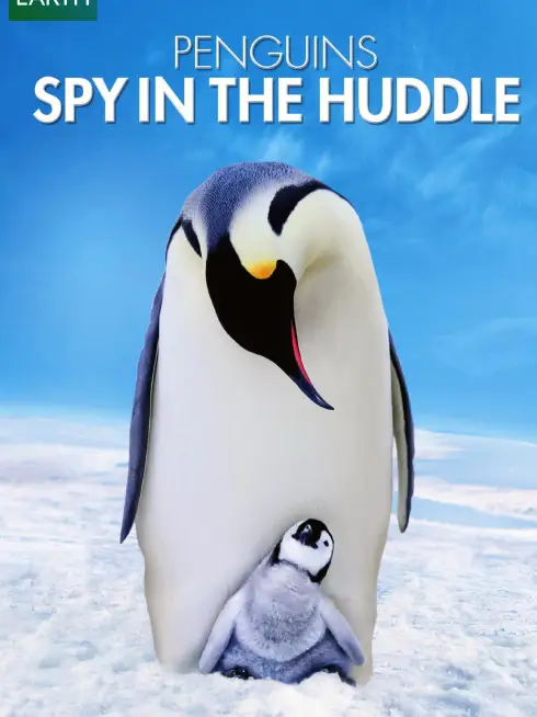 Penguins: Spy in the Huddle