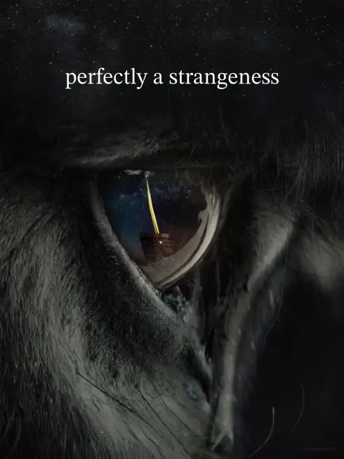 perfectly a strangeness