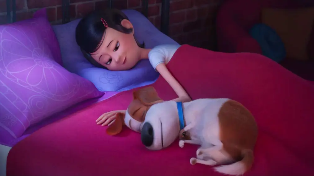 Phim Pets - Pets (2020)