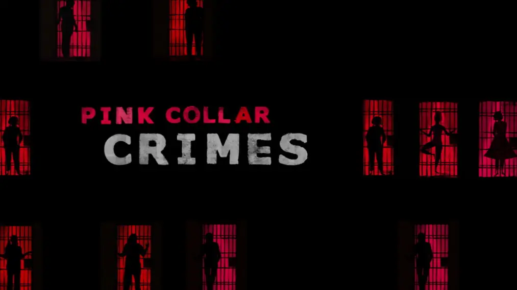 Phim Pink Collar Crimes - Pink Collar Crimes (2018)