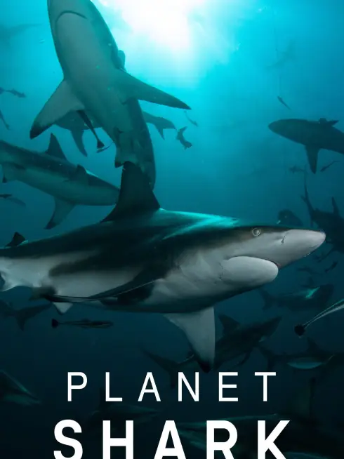 Planet Shark