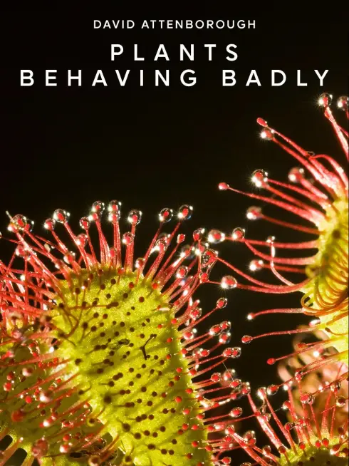Plants Behaving Badly