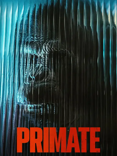 Primate