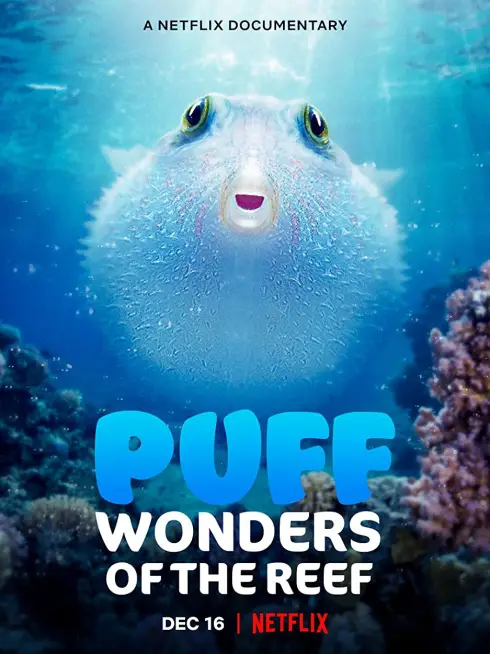 Puff: Rạn san hô kỳ diệu