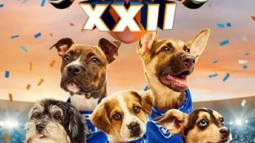 Puppy Bowl XXII