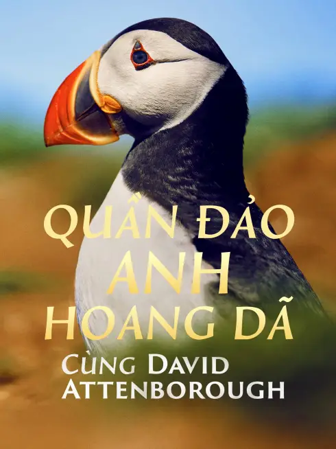 Phim Quần Đảo Anh Hoang Dã - Wild Isles (2023)