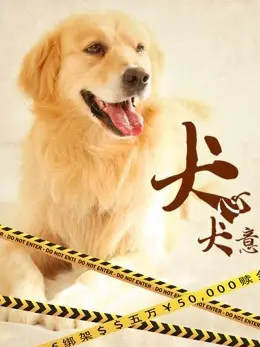 Quyết tâm của chó