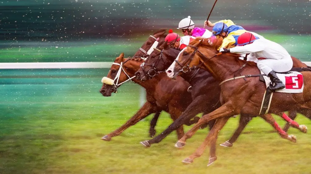 Phim Race for the Crown - Race for the Crown (2025)