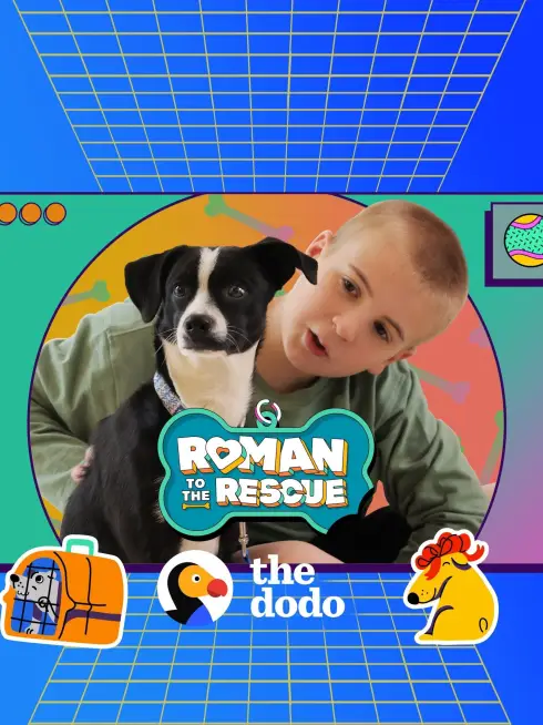 Roman to the Rescue