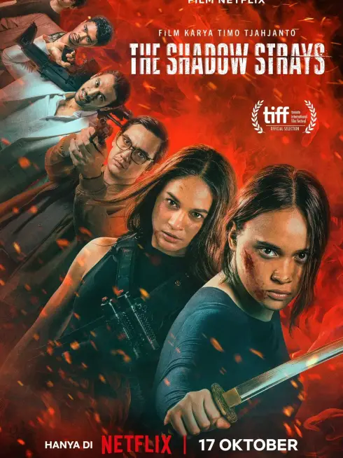 Phim Sát Thủ Mật Danh 13 - The Shadow Strays (2024)