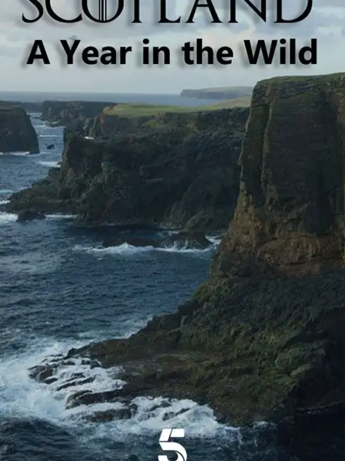  Scotland: A Year In The Wild (2021)