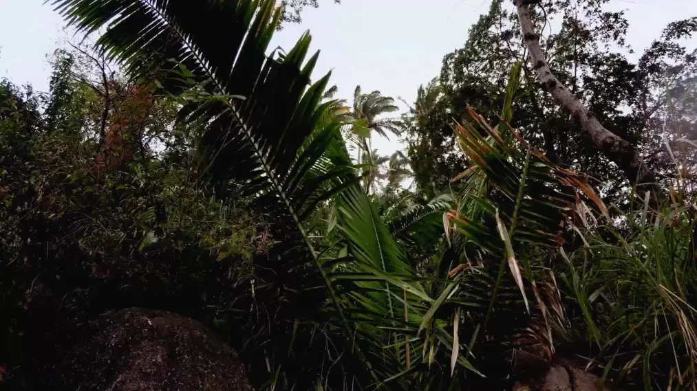 Phim Seasons of the Wild - Seasons of the Wild (2015)