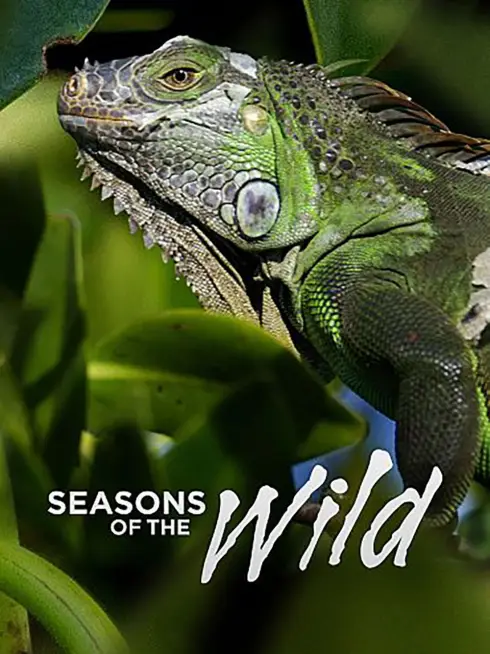 Seasons of the Wild