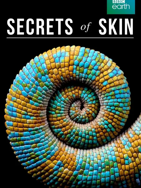  Secrets of Skin (2019)