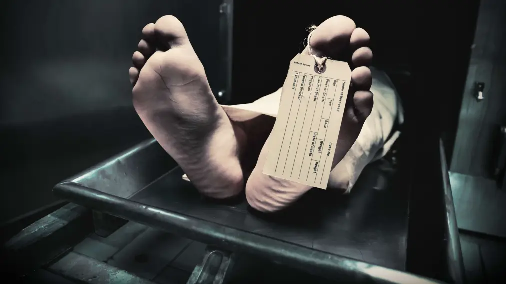 Phim Secrets of the Morgue - Secrets of the Morgue (2018)