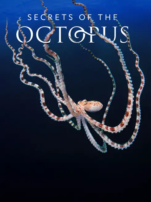  Secrets of the Octopus (2024)