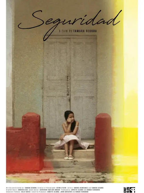  Seguridad (2024)