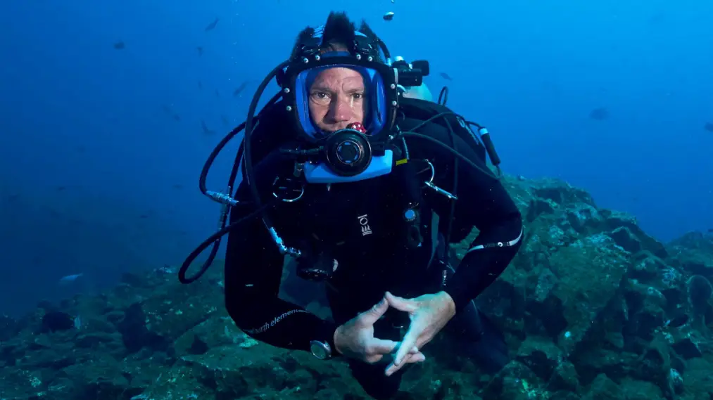 Phim Shark with Steve Backshall - Shark with Steve Backshall (2021)