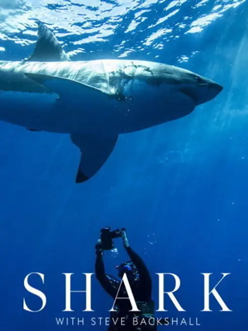 Shark with Steve Backshall