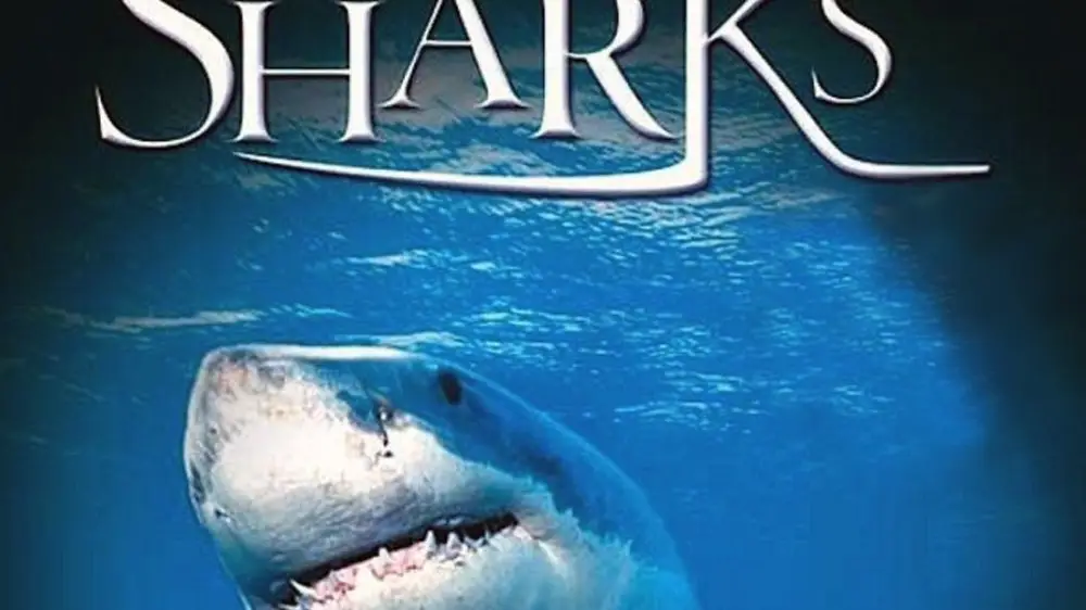 Phim Sharks 3D - IMAX: Sharks 3D (2004)