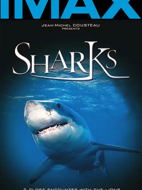 Sharks 3D