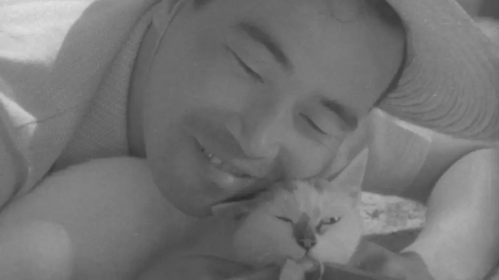 Phim Shozo, a Cat and Two Women - 猫と庄造と二人のをんな (1956)