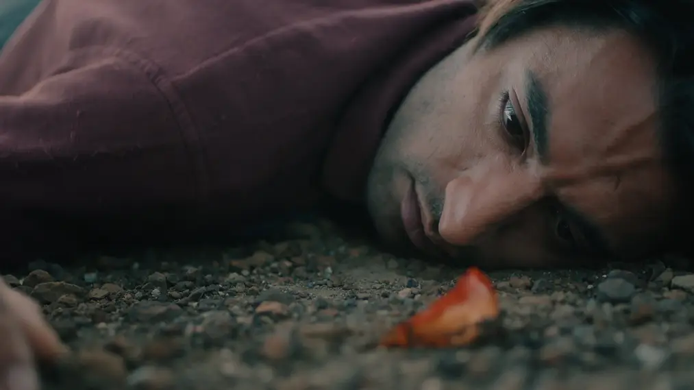 Phim Sleep of the Crow - Karganın Uykusu (2024)