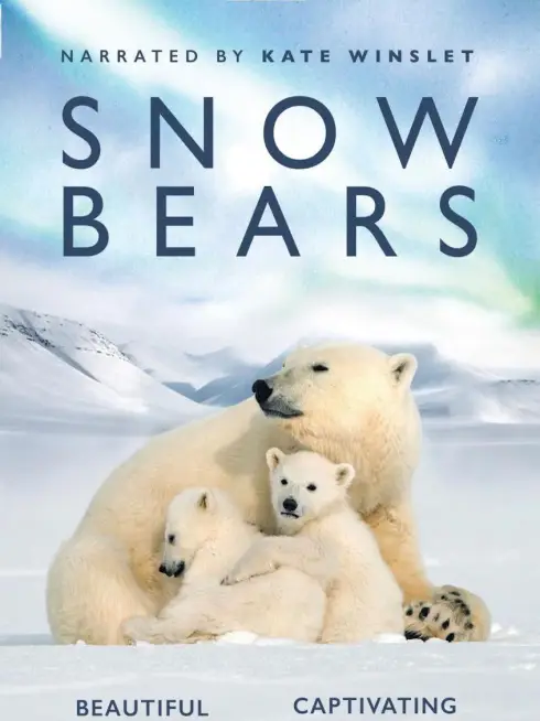  Snow Bears (2017)