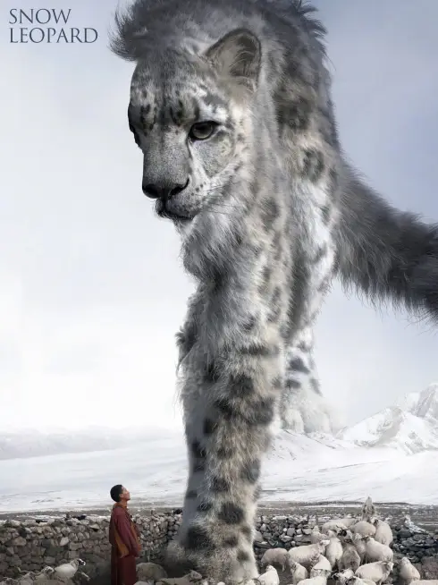  Snow Leopard (2023)
