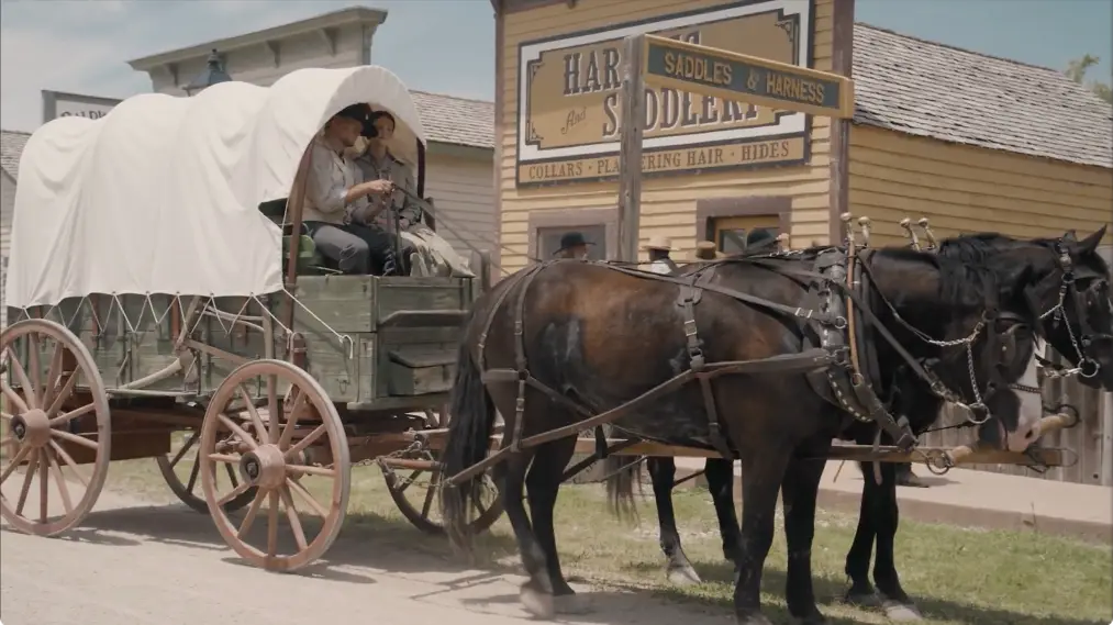 Phim Sod and Stubble - Sod and Stubble (2025)