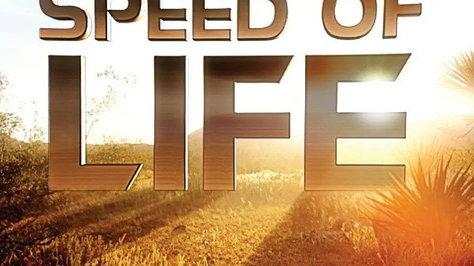 Phim Speed of Life - Speed of Life (2010)