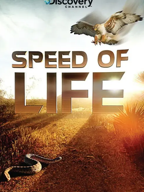 Speed of Life