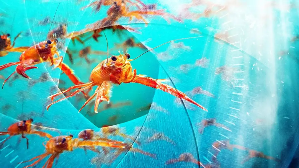Phim Spy in the Ocean, A Nature Miniseries - Spy in the Ocean (2023)