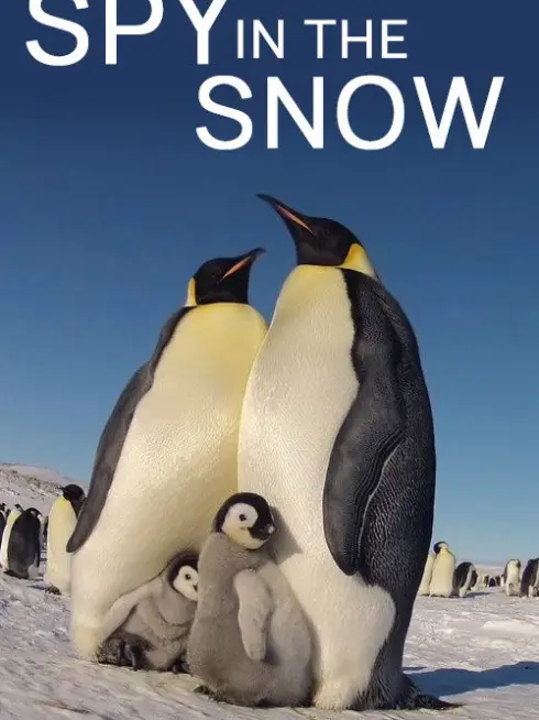 Spy in the Snow