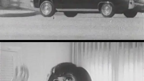 Phim Spy on the Fly - Spy on the Fly (1967)