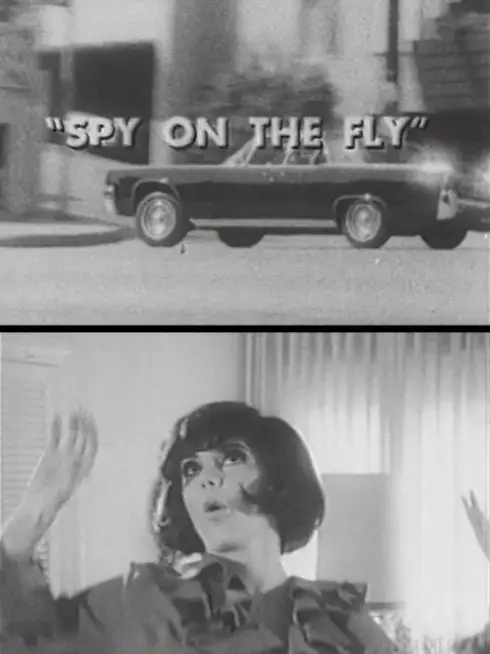 Spy on the Fly