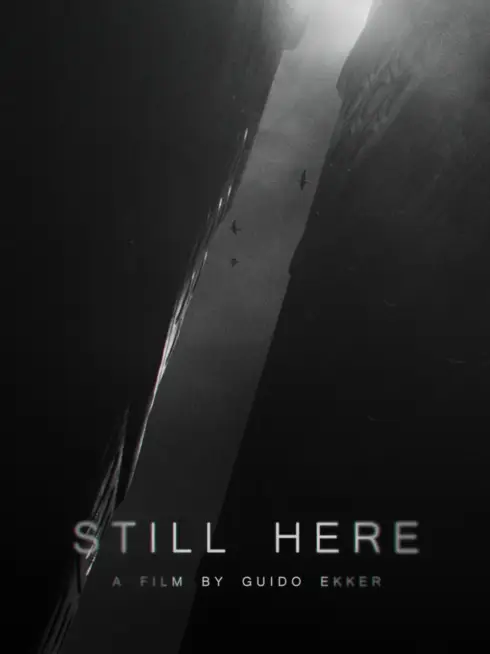 Still Here