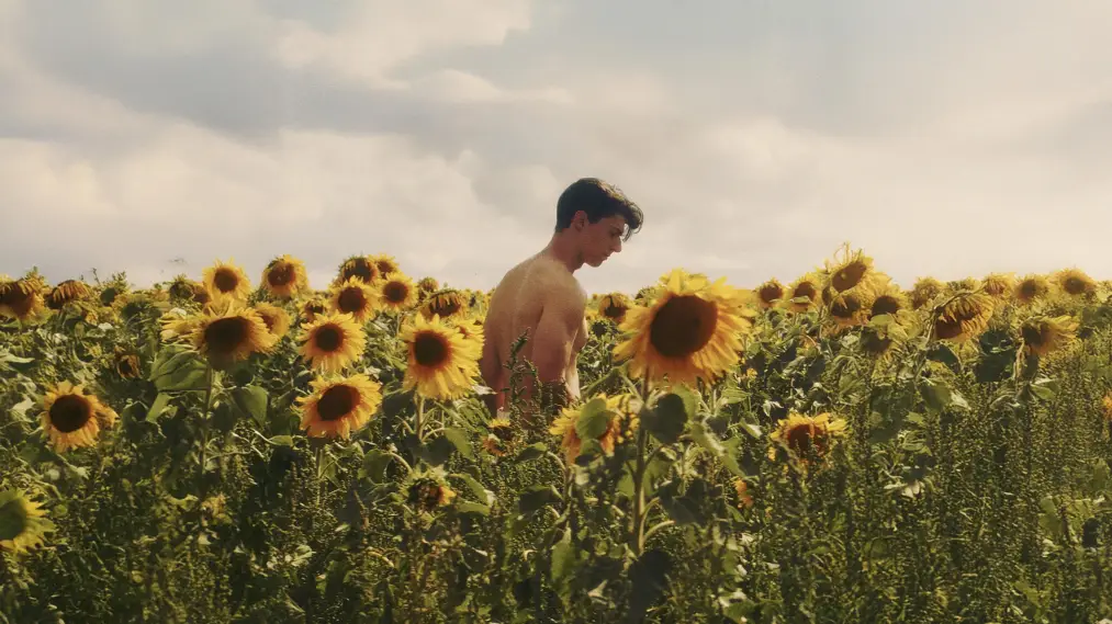 Phim Sunflower - Sunflower (2024)