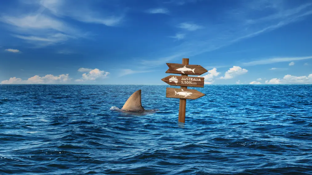 Phim Super Shark Highway - Super Shark Highway (2024)