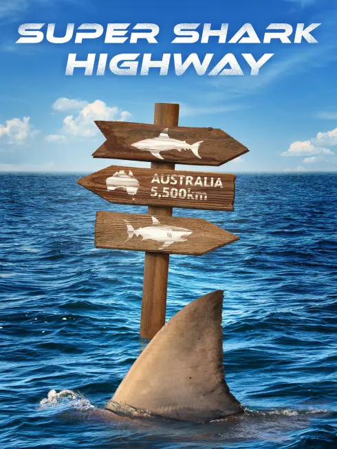 Super Shark Highway