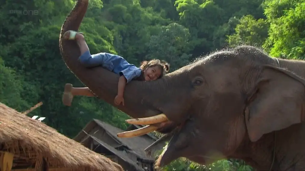Phim Super Smart Animals - Super Smart Animals (2012)