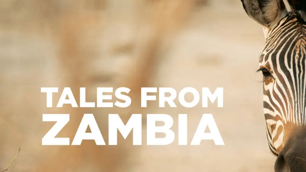 Phim Tales from Zambia - Tales from Zambia (2017)