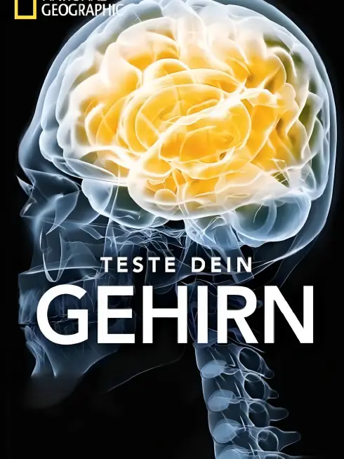 Test Your Brain