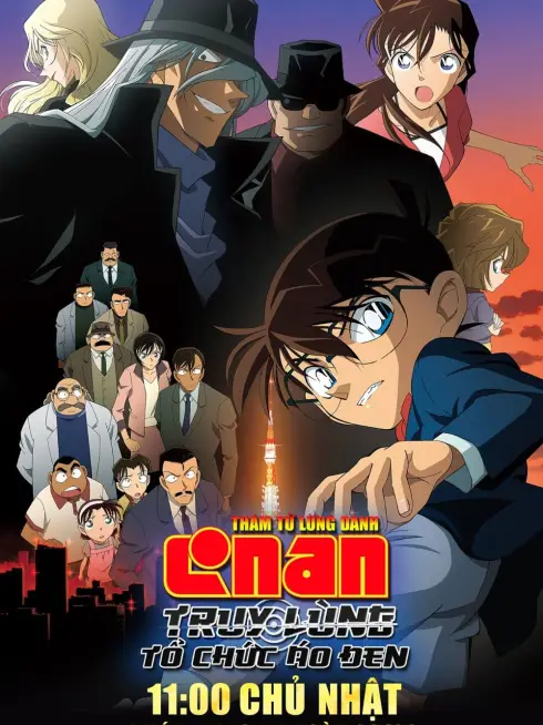 Phim Thám Tử Lừng Danh Conan 13: Truy Lùng Tổ Chức Áo Đen - Detective Conan: The Raven Chaser (2009)