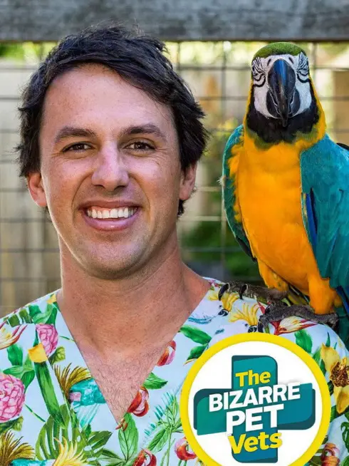  The Bizarre Pet Vets (2022)