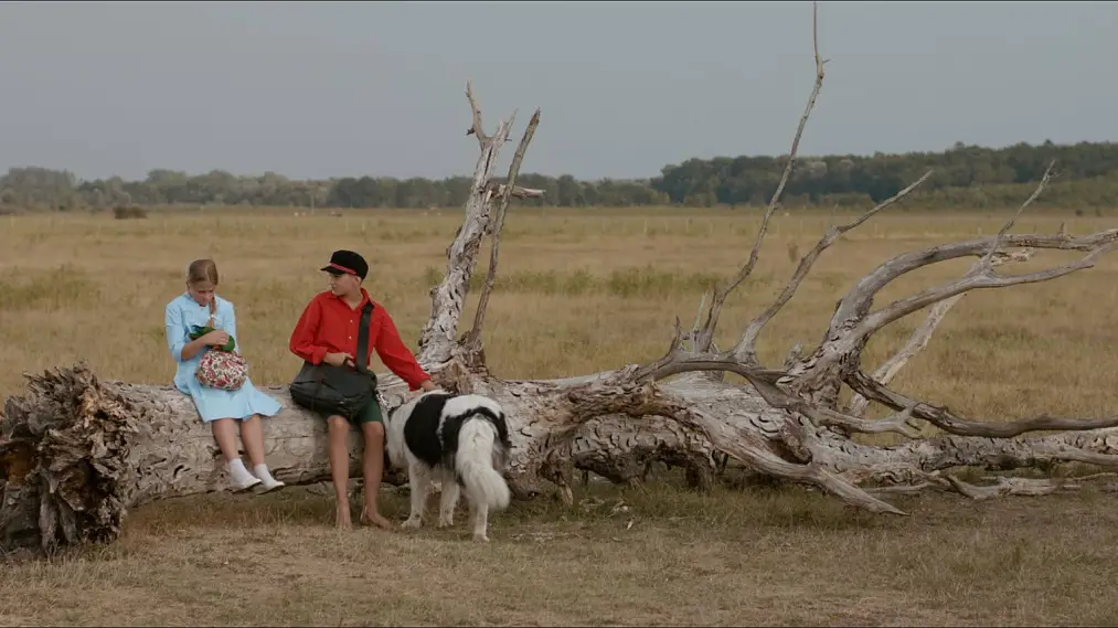 Phim The Brave Adventures of a Little Shoemaker - Šegrt Hlapić (2013)