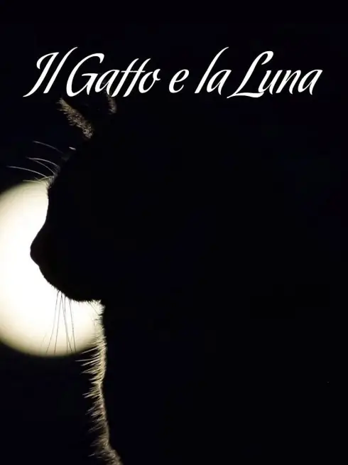 The Cat & the Moon