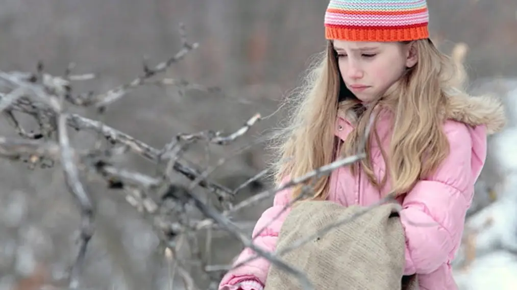 Phim The Christmas Bunny - The Christmas Bunny (2010)