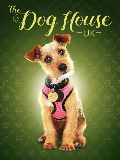 The Dog House