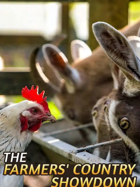  The Farmers' Country Showdown (2017)